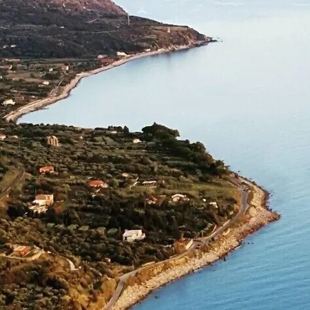 Maremonti